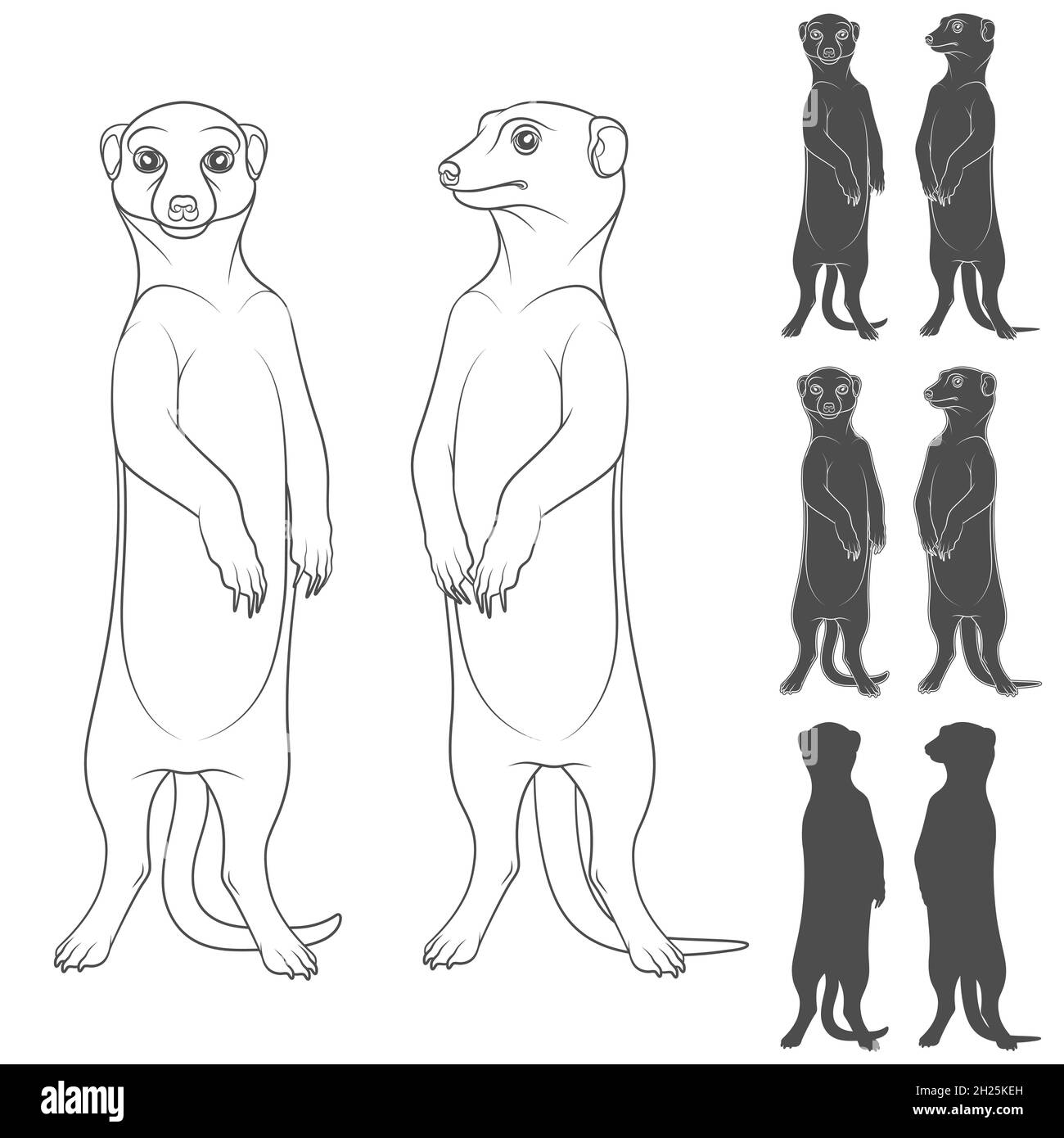 Ensemble d'illustrations en noir et blanc représentant les meerkats.Objets vectoriels isolés sur fond blanc. Illustration de Vecteur