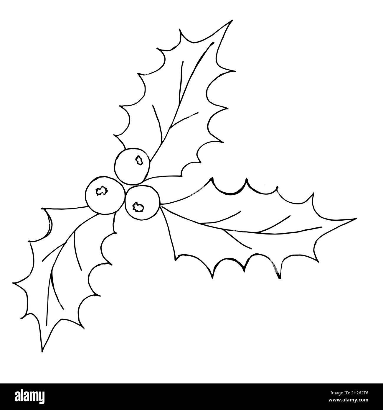 Ensemble vectoriel vintage de plantes de décoration de Noël traditionnelles dessinées à la main.Houx dessiné à la main isolé sur un fond blanc.Idéal pour les invitations et Illustration de Vecteur