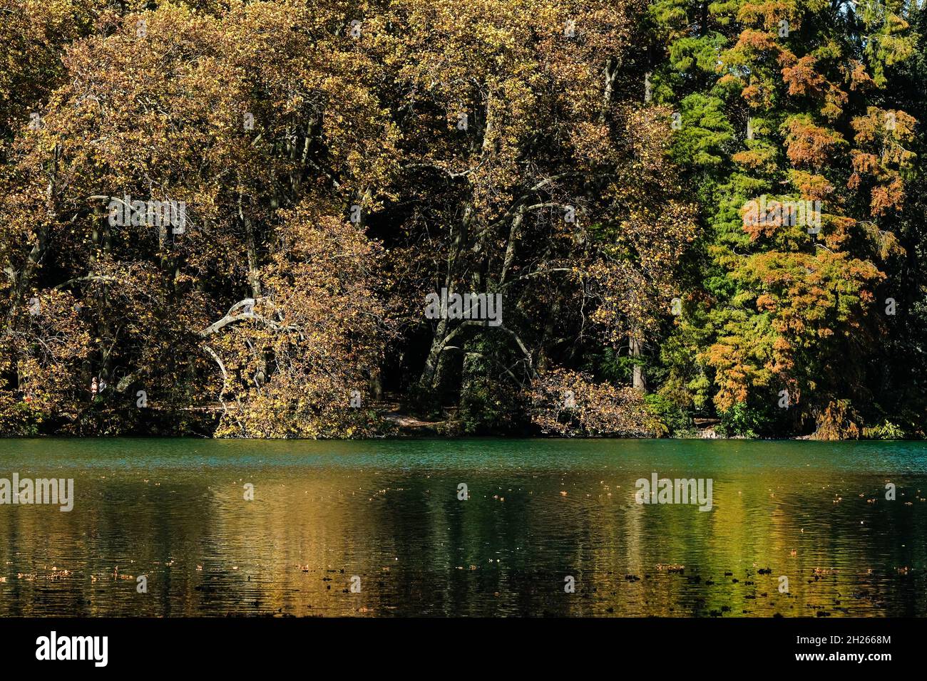 Lyon (France), 19 octobre 2021.Parc de la tête d'Or et son lac en automne. Banque D'Images