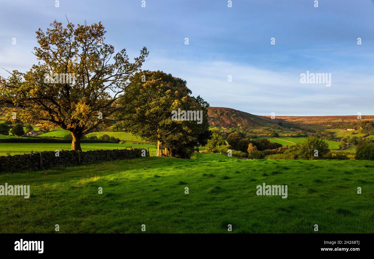 Un petit automne à Rosedale Valley, dans le parc national des Moors de North York, dans le Yorkshire, en Angleterre Banque D'Images