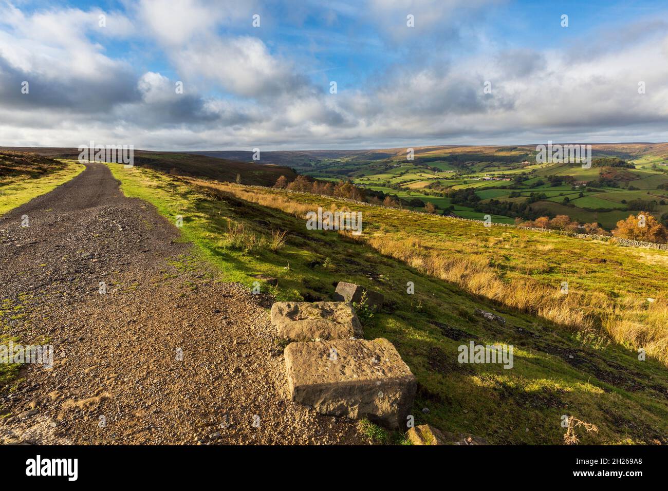 le-chemin-de-fer-ironstone-disused-a-bank-top-avec-une-vue-sur-la-vallee-de-rosedale-north-york-moors-north-yorkshire-angleterre-2h269a8.jpg