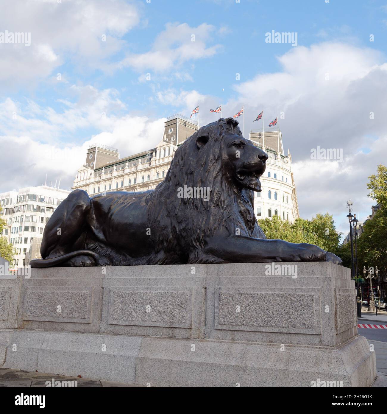 Londres, Grand Londres, Angleterre, octobre 05 2021 : Statut du lion à Trafalgar Square dans la soirée. Banque D'Images