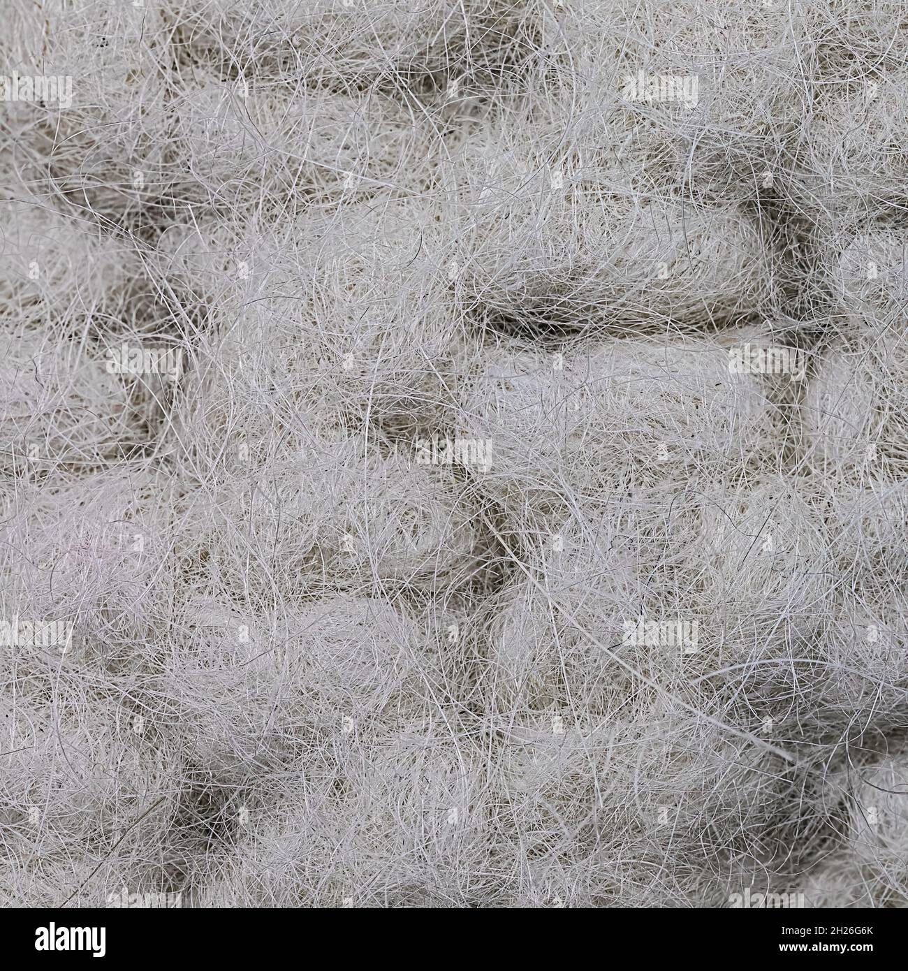 très gros plan en laine blanche naturelle feutrée et tricotée Banque D'Images