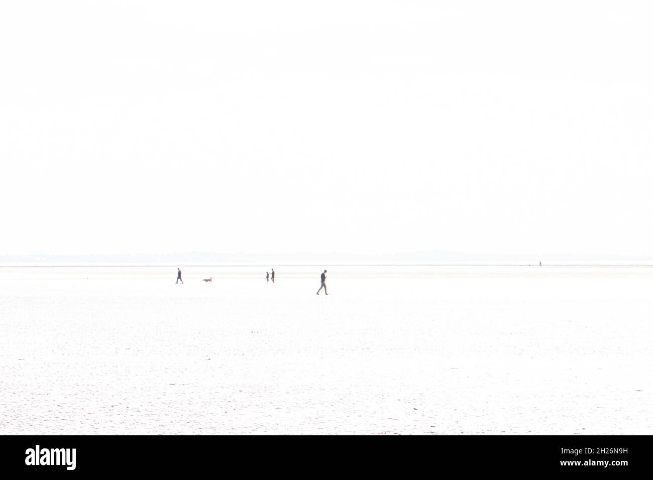 Lowry sur la plage Banque D'Images