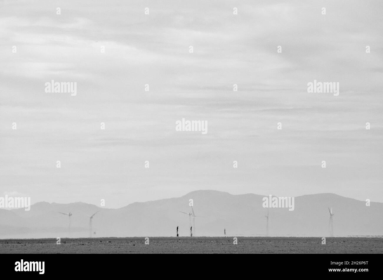 Lowry sur la plage Banque D'Images