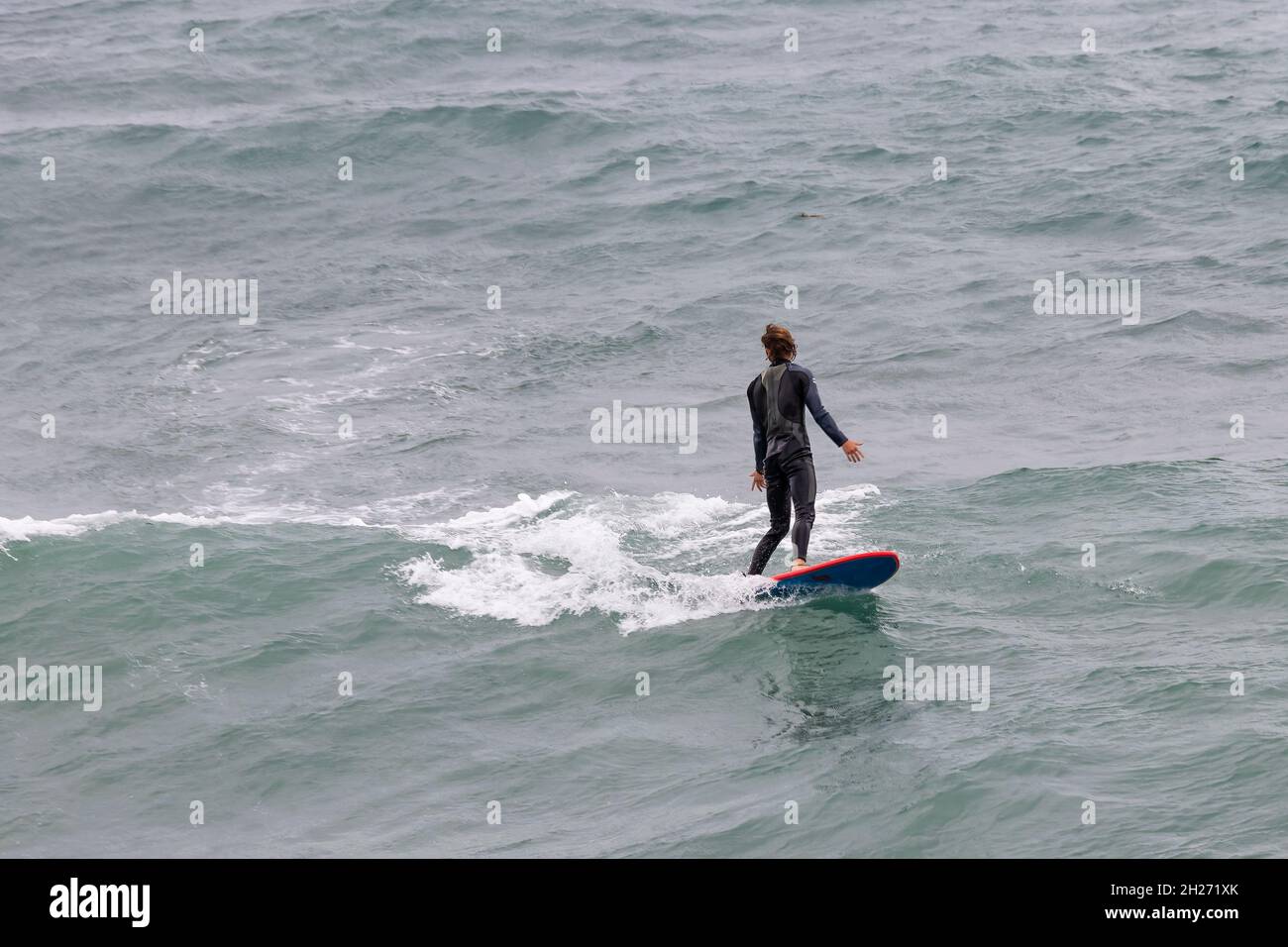 la surfeuse en combinaison attrape une vague Banque D'Images