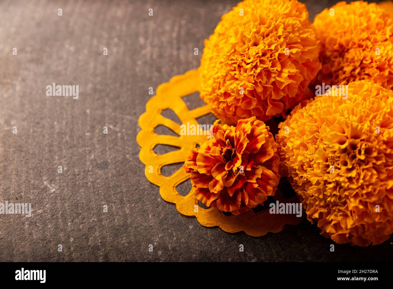 Fleurs d'orange Cempasuchil ou Marigold.(Tagetes erecta) utilisé  traditionnellement dans les autels pour la célébration du jour des morts au  Mexique Photo Stock - Alamy
