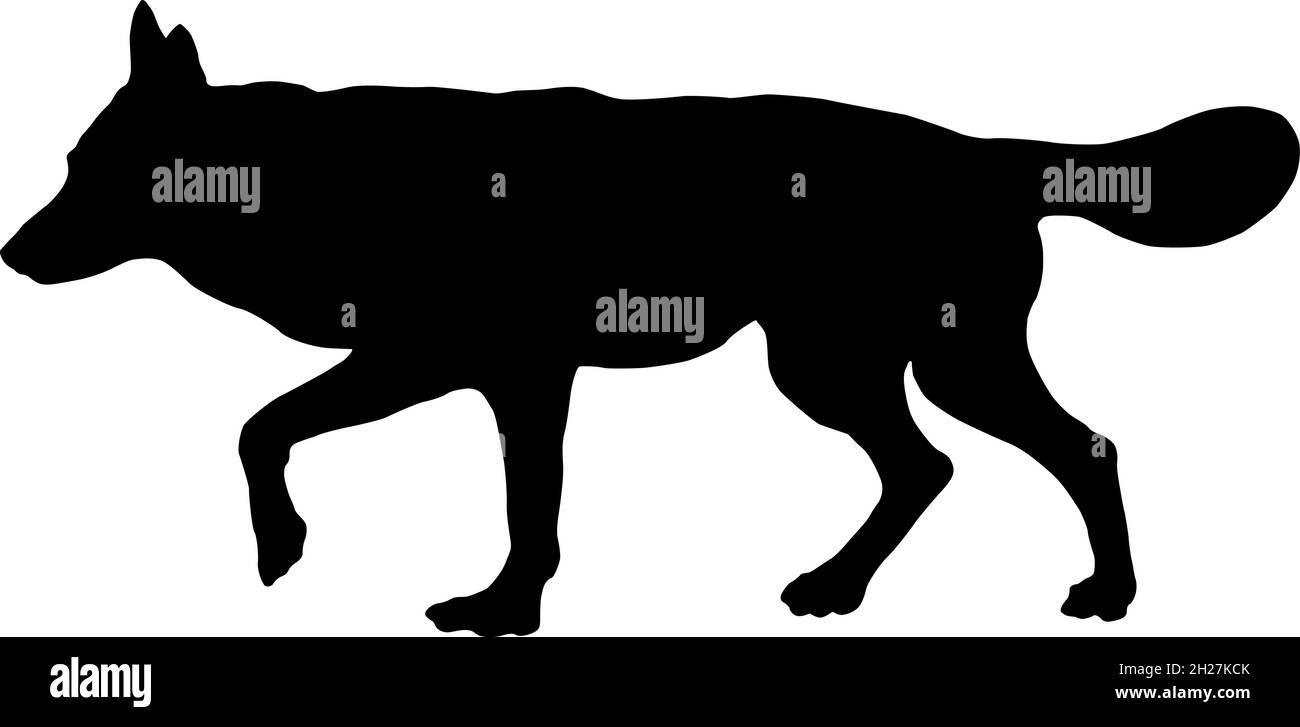 Silhouette de chien noire.Chien de chasse tchécoslovaque wolfdog.Animaux de compagnie.Isolé sur un fond blanc.Illustration vectorielle. Illustration de Vecteur Silhouette de chien noire.Chien de chasse tchécoslovaque wolfdog.Animaux de compagnie.Isolé sur un fond blanc.Illustration vectorielle. Illustration de Vecteur