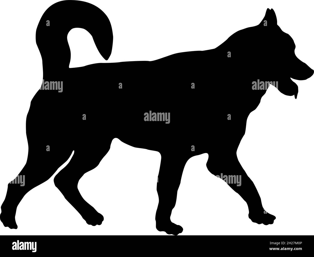 Chien de la sibérie. Silhouette de chien noire. Animaux de compagnie. Isolé sur un fond blanc. Illustration vectorielle. Illustration de Vecteur