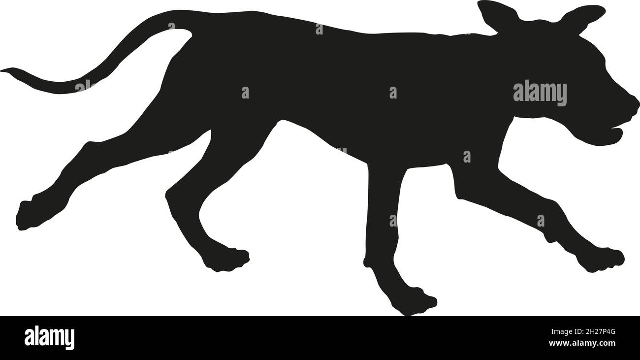 Chiot à la course du mastiff italien.Silhouette de chien noire.Animaux de compagnie.Isolé sur un fond blanc.Illustration vectorielle. Illustration de Vecteur