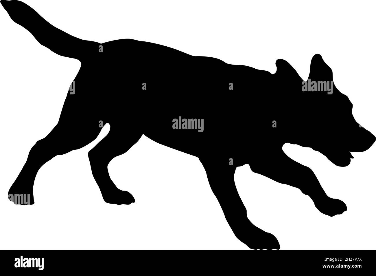 Chien de course à pied labrador Retriever. Silhouette de chien noire. Animaux de compagnie. Isolé sur un fond blanc. Illustration vectorielle. Illustration de Vecteur Chien de course à pied labrador Retriever. Silhouette de chien noire. Animaux de compagnie. Isolé sur un fond blanc. Illustration vectorielle. Illustration de Vecteur