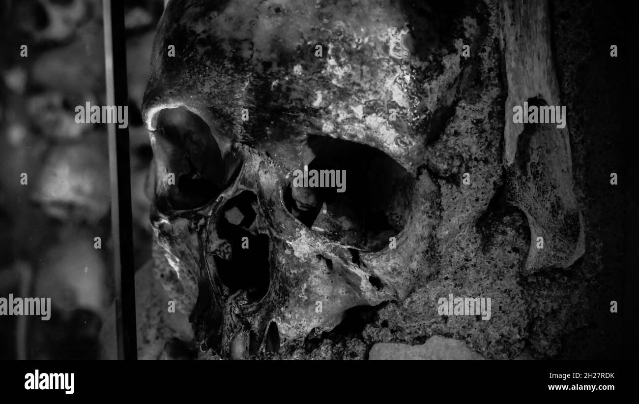 Gros plan de la tête du crâne humain Banque D'Images