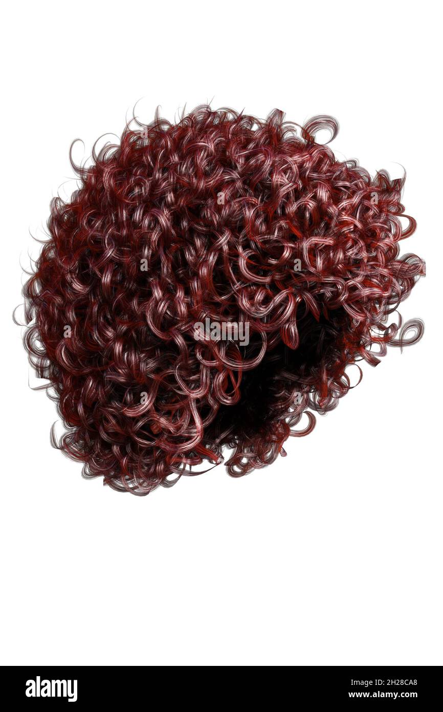 Cheveux afro-femelles sur fond isolé, rendu 3D, Illustration 3D Banque D'Images