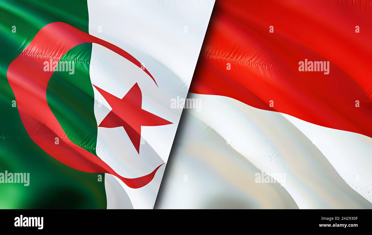 algeria rencontre