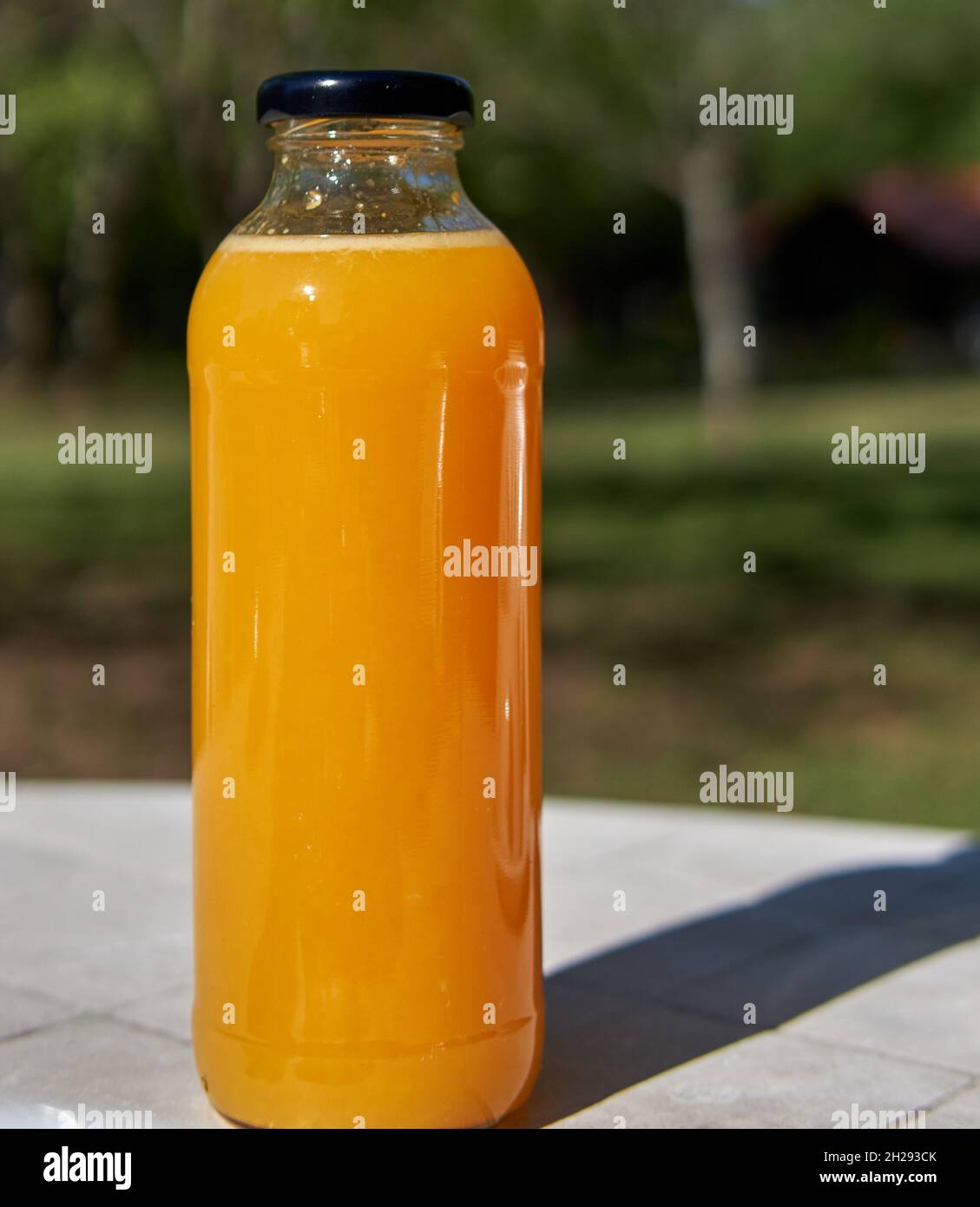 BOUTEILLE EN VERRE TRANSPARENT REMPLIE DE JUS D'ORANGE FRAIS DANS LE JARDIN.VERTICALE.MISE AU POINT SÉLECTIVE Banque D'Images