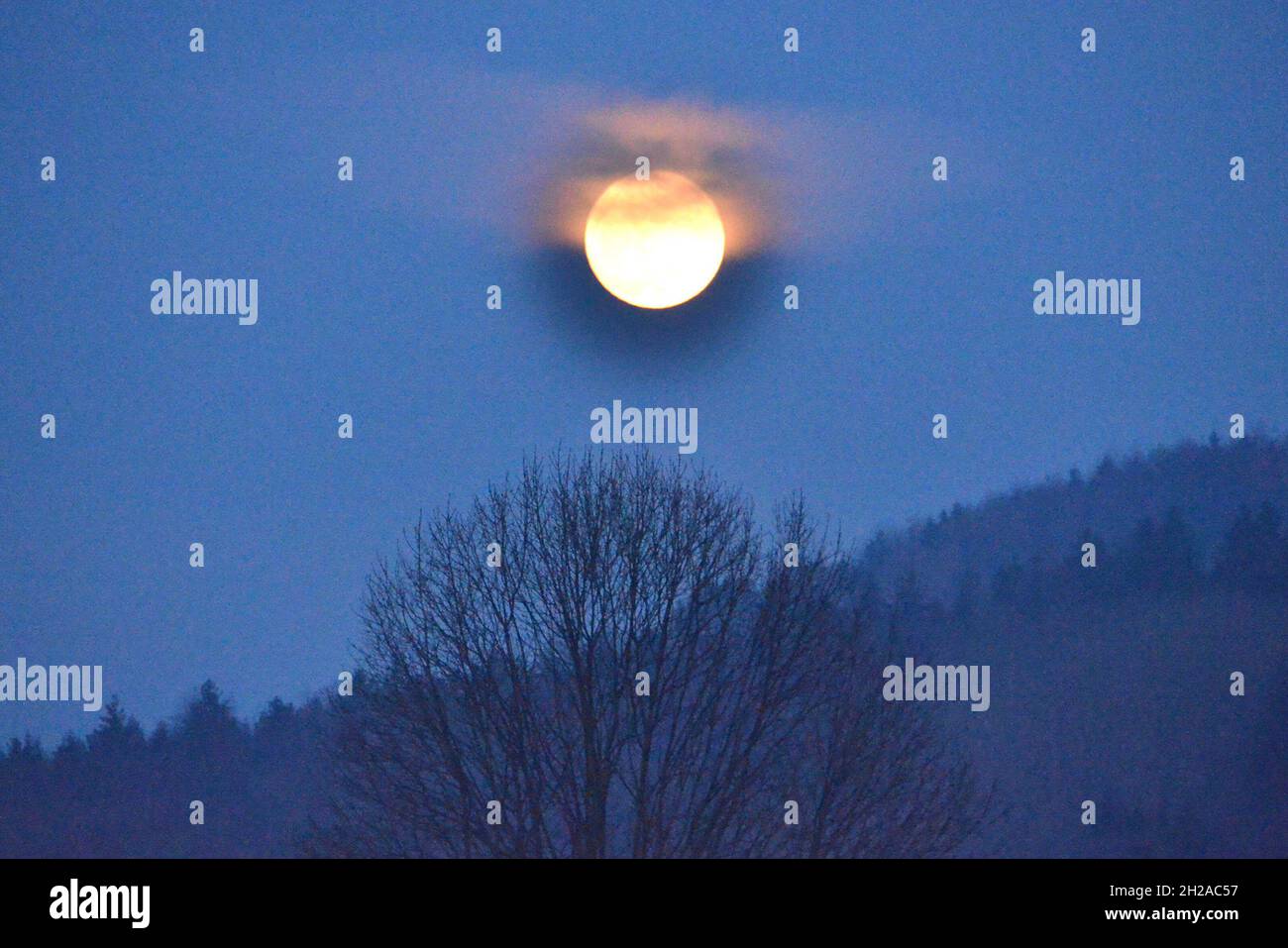 Vollmond über dem Grünberg, Österreich, Europa - pleine lune sur le Grünberg, Autriche, Europe Banque D'Images
