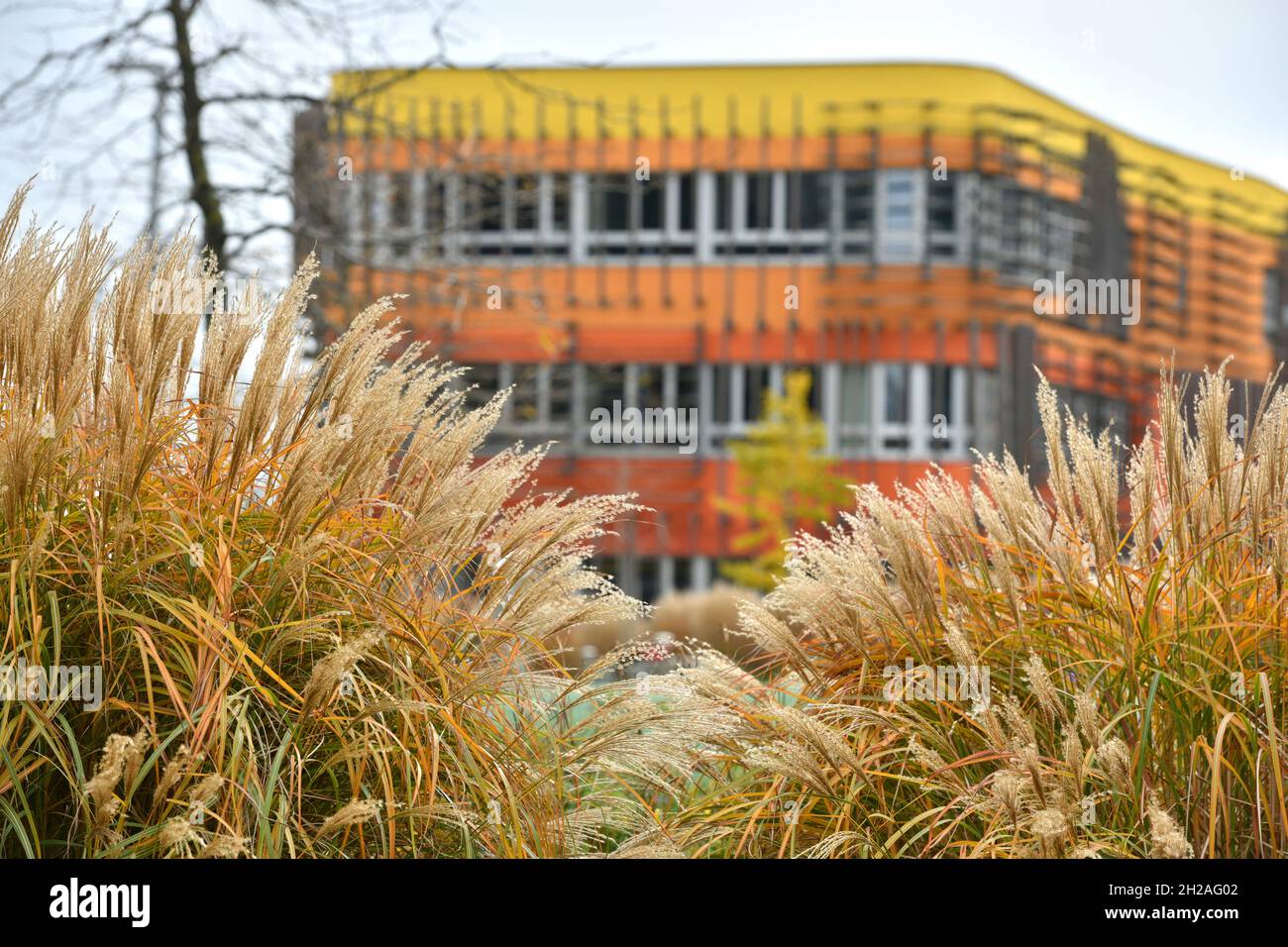 Gebäude der Wirtschaftsuniversität à Vienne - Construction de l'Université d'Economie à Vienne Banque D'Images