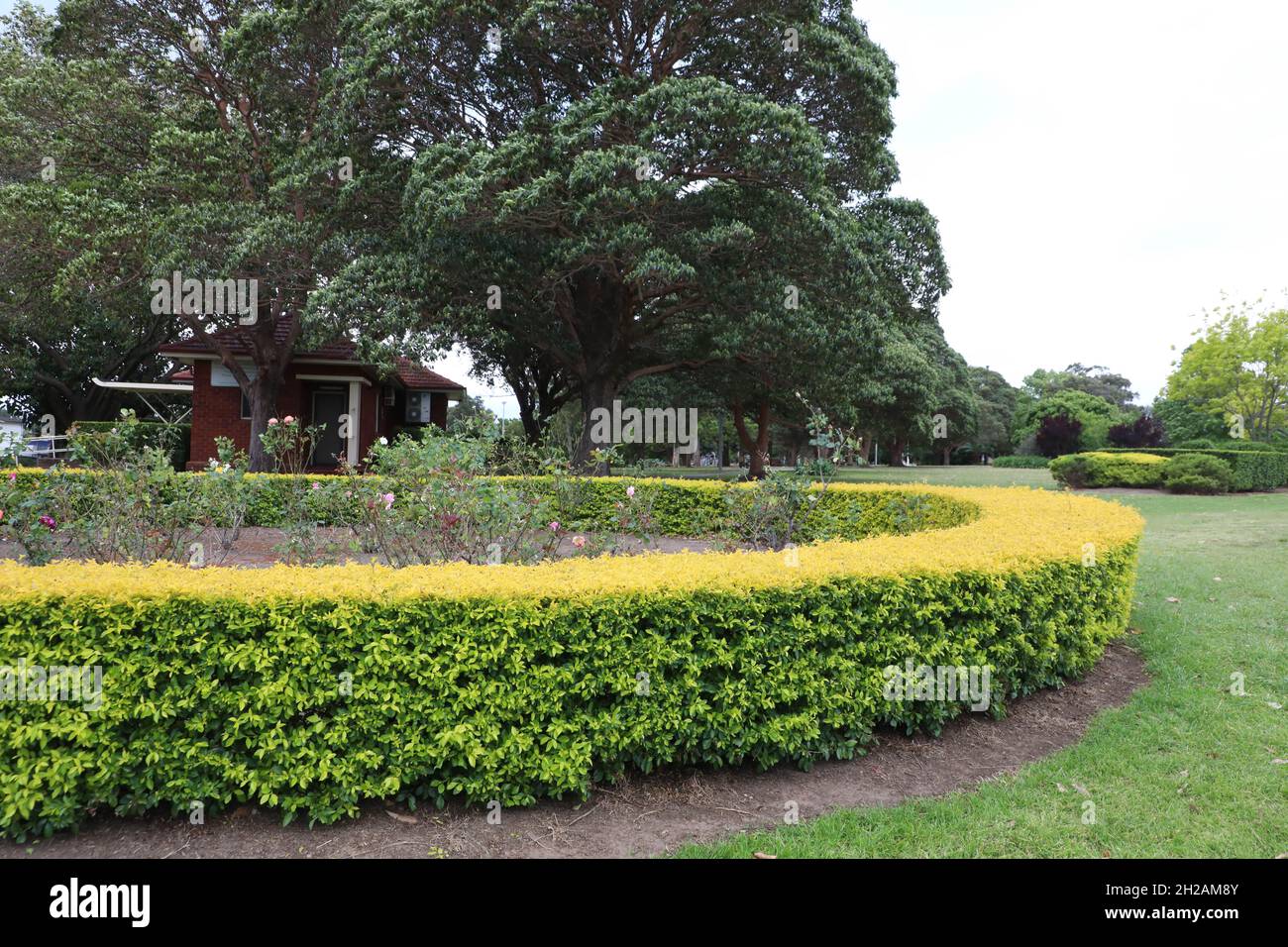 Five Dock Park, Five Dock, Sydney, Nouvelle-Galles du Sud, Australie Banque D'Images