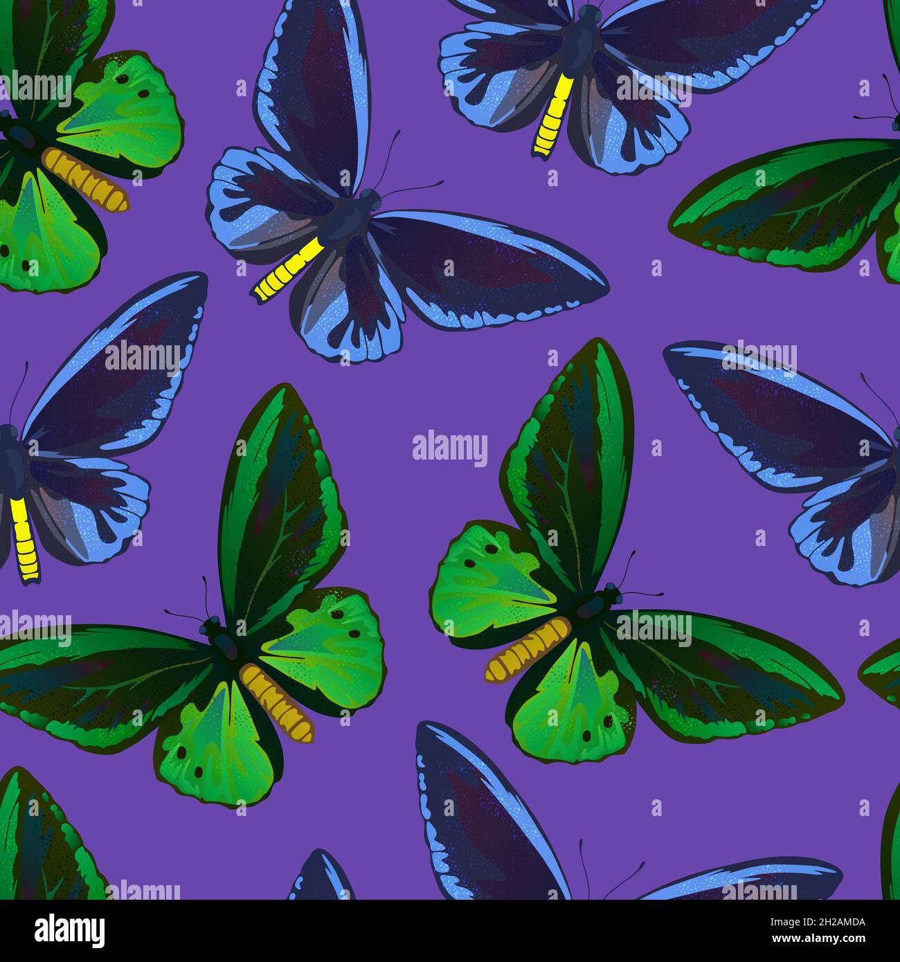 Motif sans couture avec de grands papillons tropicaux colorés, de la queue d'oiseau et de la queue d'oiseau, de la papilio et de l'ornitoptera papilionidae. Illustration de Vecteur