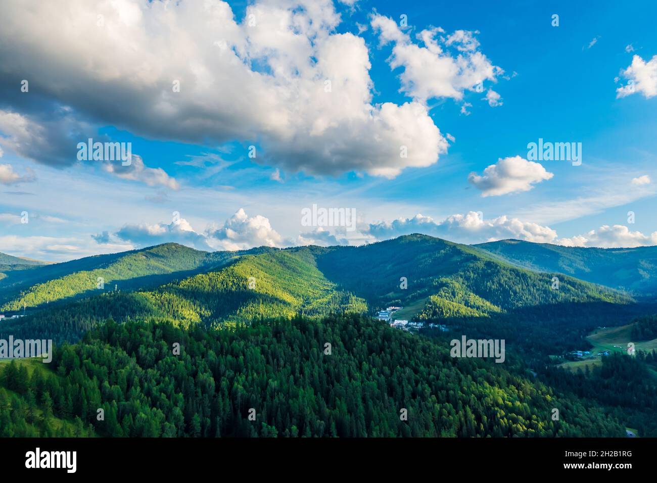 Vue aérienne de la montagne et de la forêt verte avec de l'herbe dans la zone pittoresque de Kanas, Xinjiang, Chine. Banque D'Images