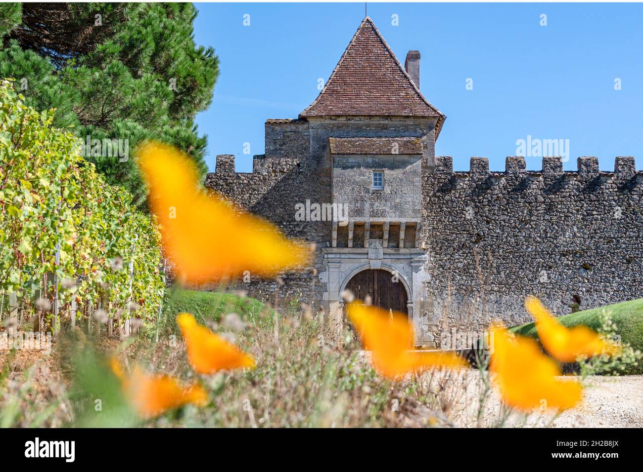 Le Château d'Yquem à Sauternes est l'un des domaines viticoles les plus exquis au monde... et les plus chers... pour la France Banque D'Images