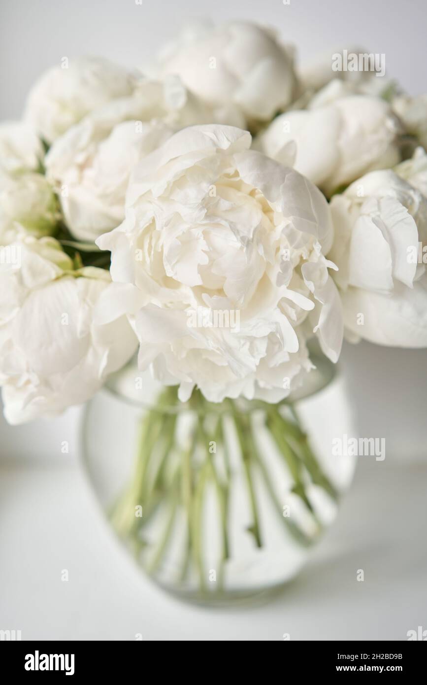 Pivoines blanches dans un vase en verre.Belle fleur de pivoine pour  catalogue ou magasin en ligne.Concept de boutique florale .Beau bouquet  frais.Livraison de fleurs Photo Stock - Alamy