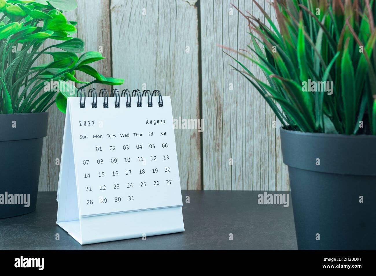 Calendrier blanc du 2022 septembre avec plante en pot.Concept du nouvel an 2022 Banque D'Images
