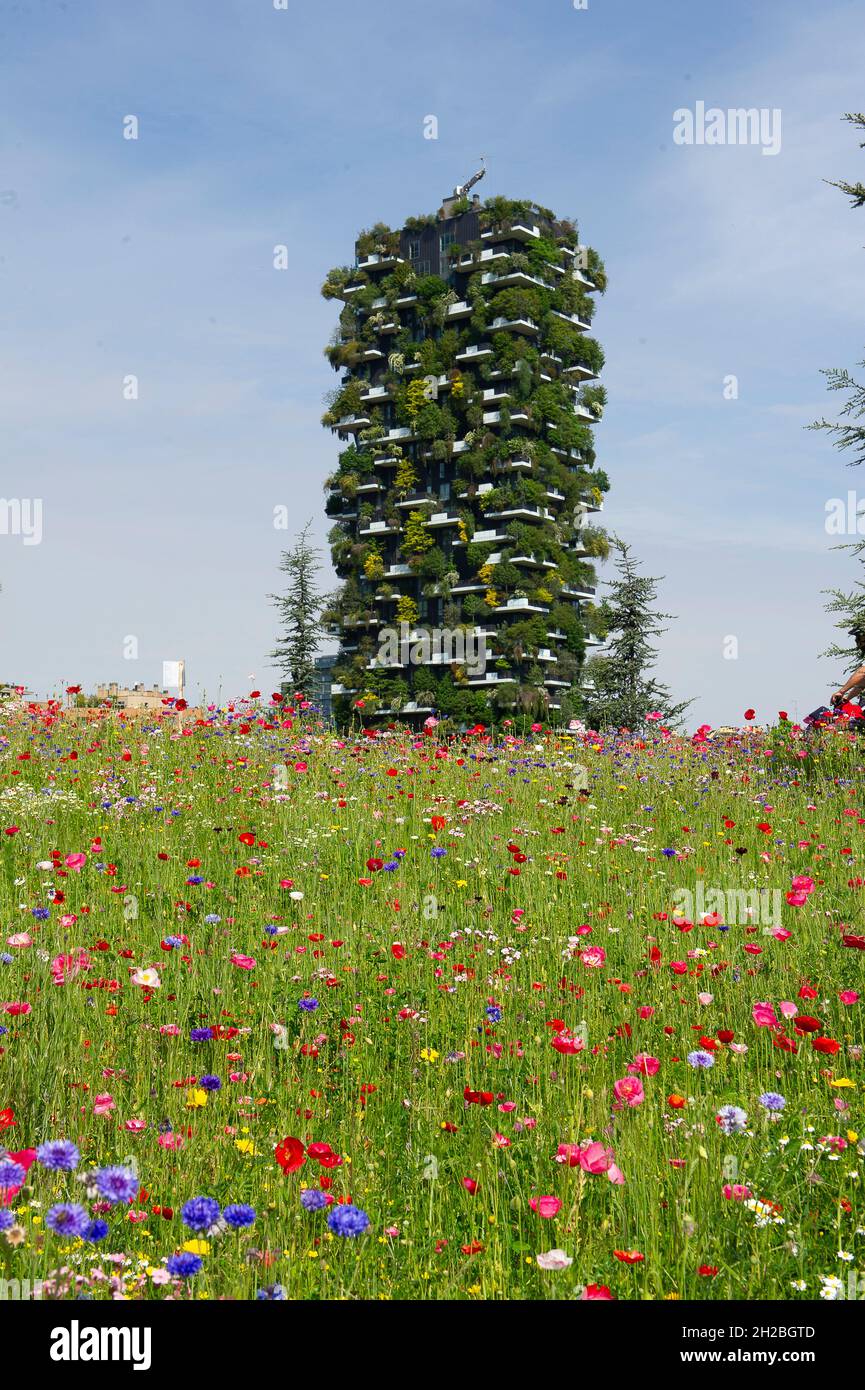 Milan, Italie - fleurs dans le jardin de printemps dans la Bibliothèque du parc des arbres de la place Gae Aulenti Banque D'Images