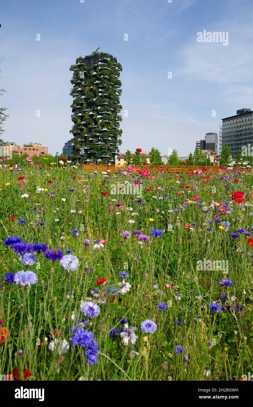 Milan, Italie - fleurs dans le jardin de printemps dans la Bibliothèque du parc des arbres de la place Gae Aulenti Banque D'Images