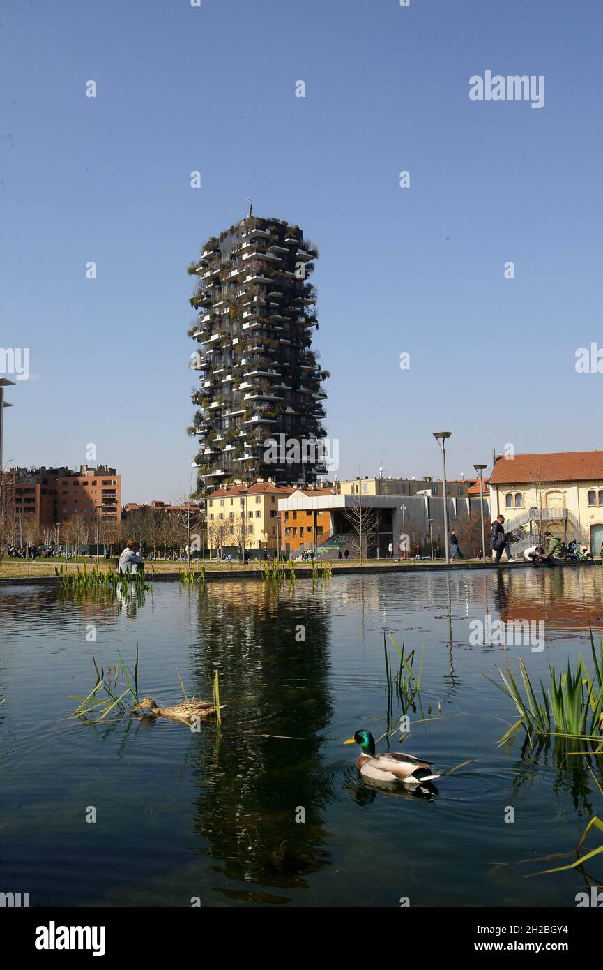 Milan, Italie dans l'étang de la Biblioteca degli Alberi Park, piazza Gae Aulenti, une paire de canards allemands (Anas platyrhynchos). Banque D'Images