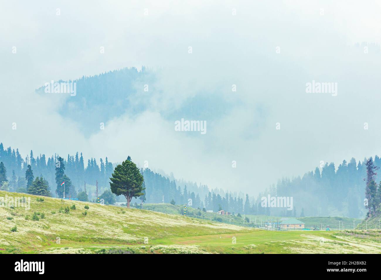 Magnifique paysage à Gulmarg jammu Cachemire Banque D'Images