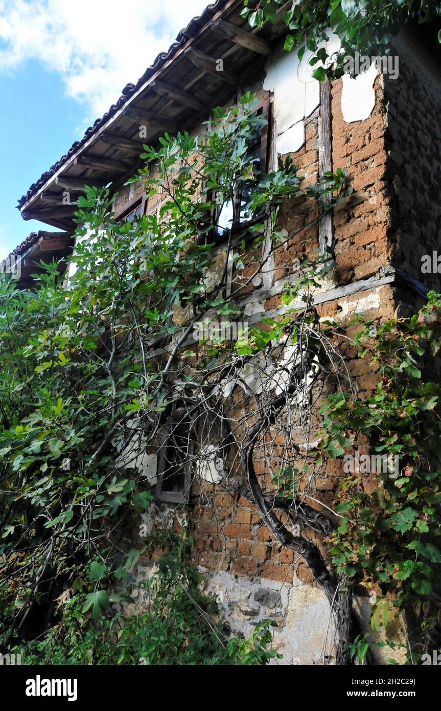 Maisons de boue et maisons effondrées dans un village presque déserté en Bulgarie Banque D'Images