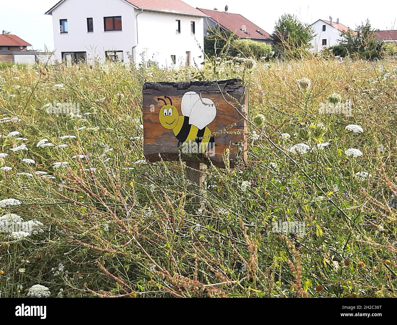 Signe pour le projet de conservation des abeilles sauvages dans un pré, Allemagne Banque D'Images