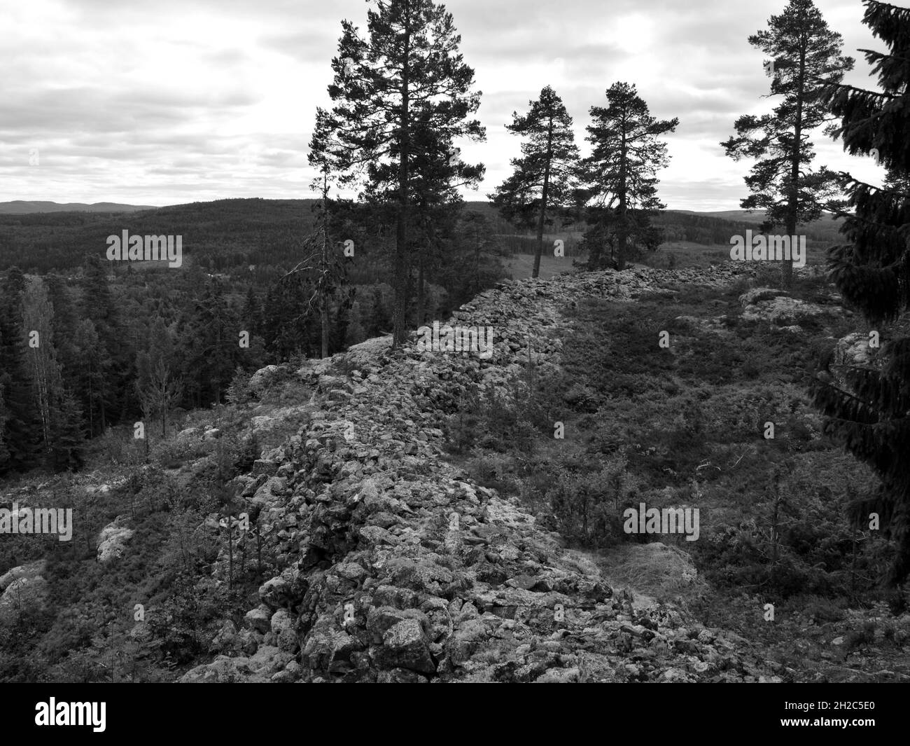 Photo en niveaux de gris des vestiges de l'ancienne fortification Viking en Suède Banque D'Images