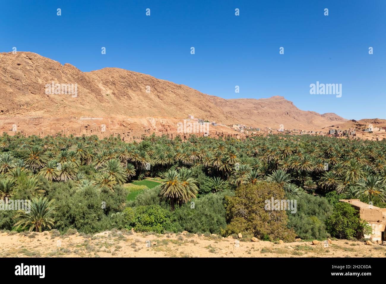 Un homme en vêtements traditionnels dans la gorge de Dades au Maroc Banque D'Images