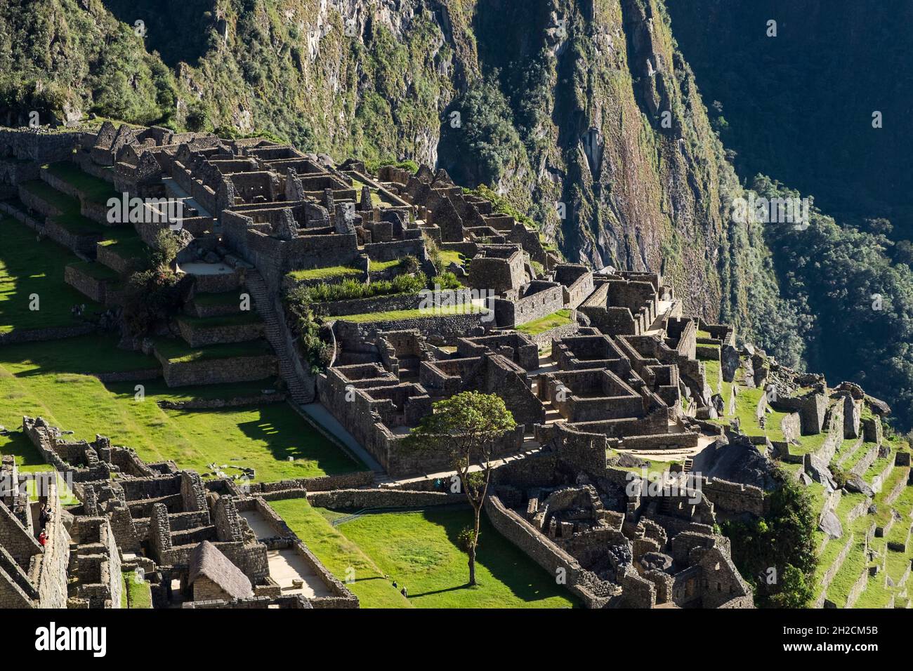 Perù, Machu Picchu, ruines de la ville empire inca et de la montagne Huayna Picchu dans la vallée sacrée Banque D'Images