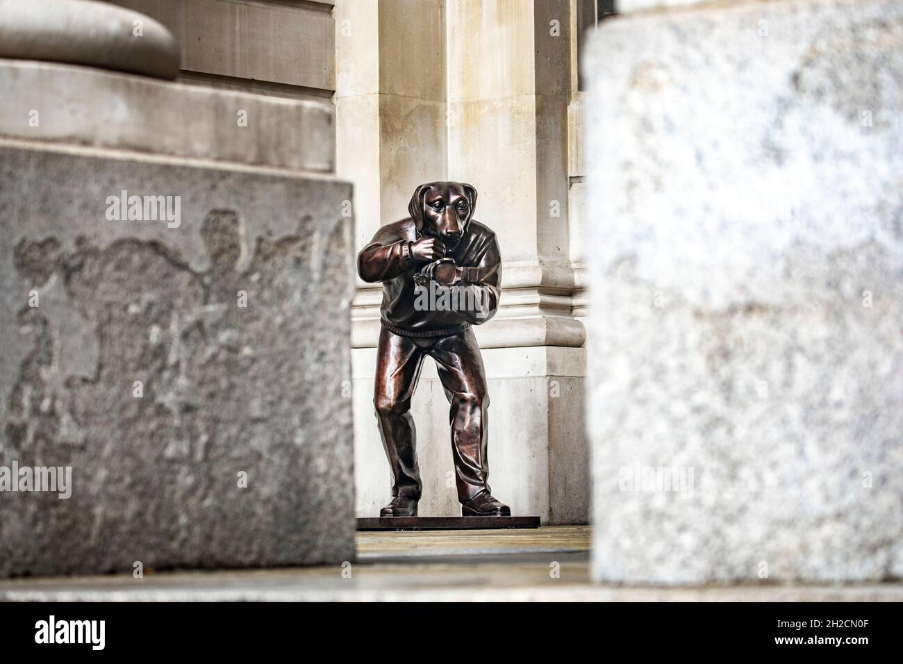 photos : statues du Ôpaparazzi dogsÕ près de la Banque d'Angleterre dans la ville de LondresPhoto de Gavin Rodgers/ Pixel8000 Banque D'Images