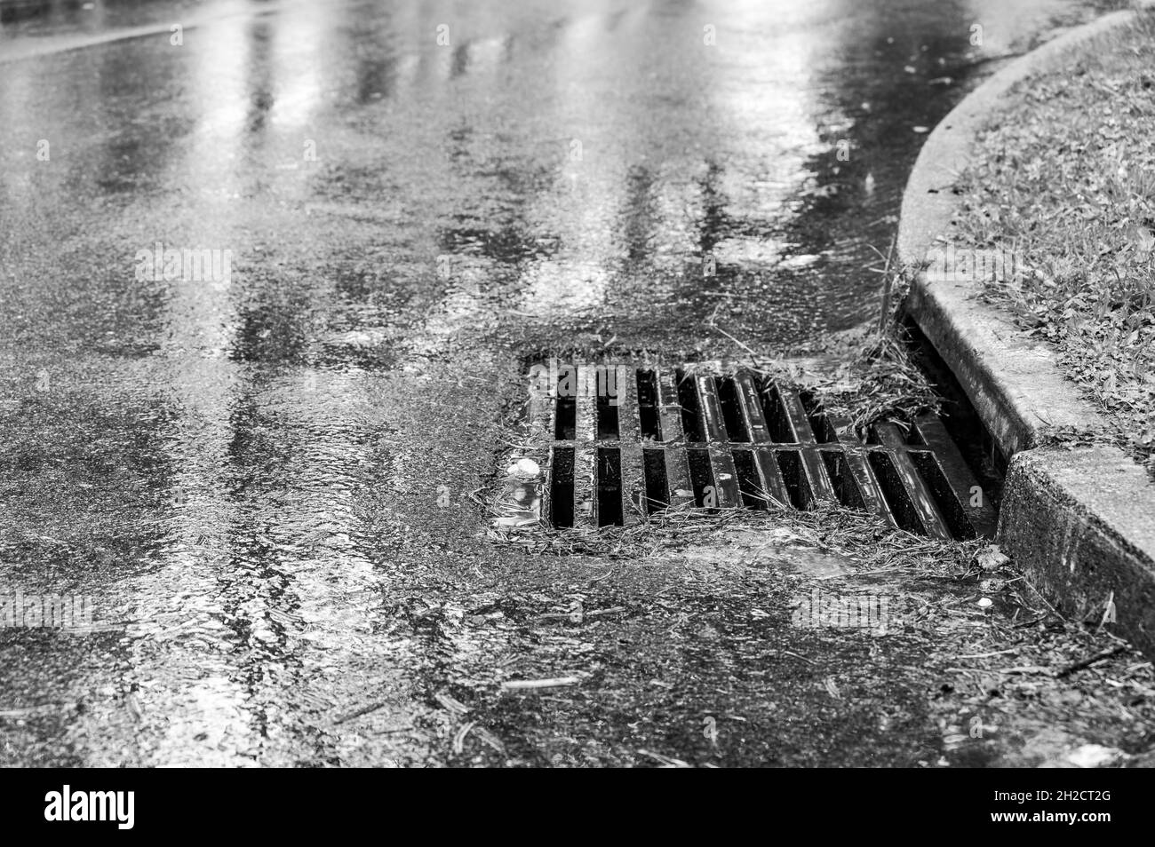 Drain d'orage métallique pendant un événement de pluie avec les feuilles et les aiguilles commencent à s'accumuler autour des bords Banque D'Images