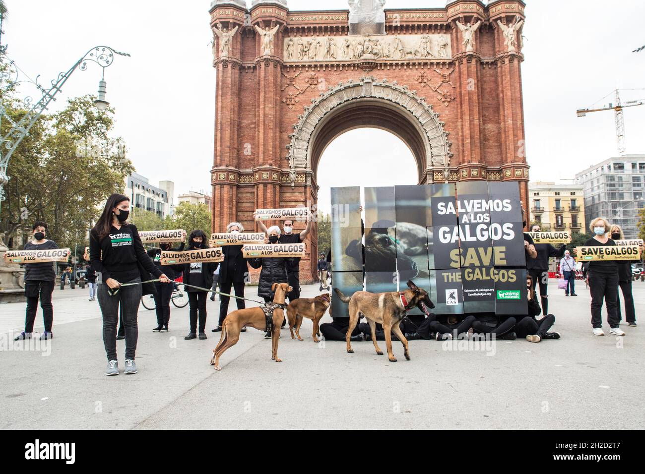 Barcelone, Catalogne, Espagne.21 octobre 2021.Les manifestants sont vus en face de l'Arc de Triomf à Barcelone avec des bannières qui disent, à l'exception des galgos (Grayhounds espagnol).l'organisation internationale sans but lucratif de droits des animaux, AnimaNaturalis a appelé à une manifestation en défense des Grayhounds espagnols, le Galgo,Qui est une race utilisée à la fois pour la chasse et la course dans différentes régions d'Espagne.Certaines estimations estiment qu'en Espagne environ 50,000 lévriers et autres chiens de chasse sont abandonnés (Credit image: © Thiago Prudencio/DAX via ZUMA Press Wire) Banque D'Images