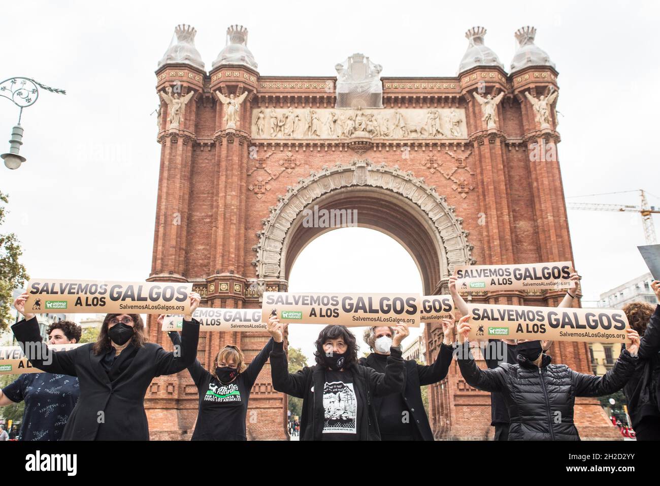 Barcelone, Catalogne, Espagne.21 octobre 2021.Les manifestants sont vus en face de l'Arc de Triomf à Barcelone avec des bannières qui disent, à l'exception des galgos (Grayhounds espagnol).l'organisation internationale sans but lucratif de droits des animaux, AnimaNaturalis a appelé à une manifestation en défense des Grayhounds espagnols, le Galgo,Qui est une race utilisée à la fois pour la chasse et la course dans différentes régions d'Espagne.Certaines estimations estiment qu'en Espagne environ 50,000 lévriers et autres chiens de chasse sont abandonnés (Credit image: © Thiago Prudencio/DAX via ZUMA Press Wire) Banque D'Images