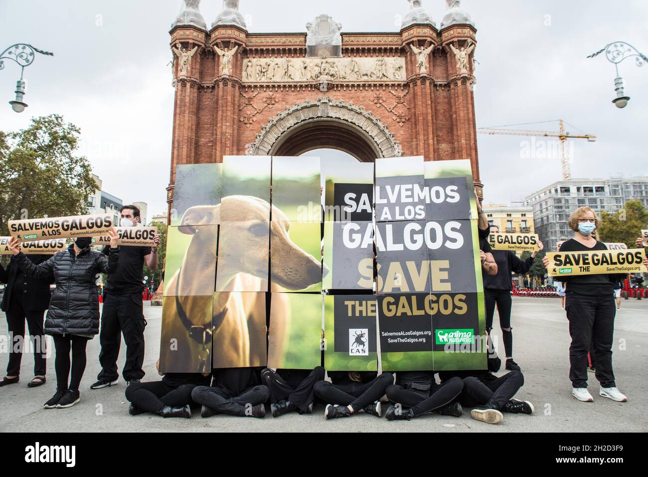 Barcelone, Catalogne, Espagne.21 octobre 2021.Les manifestants sont vus en face de l'Arc de Triomf à Barcelone avec une bannière qui lit, à l'exception des galgos (Grayhounds espagnols).l'organisation internationale sans but lucratif de droits des animaux, AnimaNaturalis a appelé à une manifestation en défense des Grayhounds espagnols, le Galgo,Qui est une race utilisée à la fois pour la chasse et la course dans différentes régions d'Espagne.Certaines estimations estiment qu'en Espagne environ 50,000 lévriers et autres chiens de chasse sont abandonnés (Credit image: © Thiago Prudencio/DAX via ZUMA Press Wire) Banque D'Images