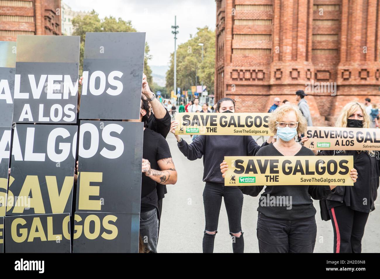 Barcelone, Catalogne, Espagne.21 octobre 2021.Les manifestants sont vus en face de l'Arc de Triomf à Barcelone avec des bannières qui disent, à l'exception des galgos (Grayhounds espagnol).l'organisation internationale sans but lucratif de droits des animaux, AnimaNaturalis a appelé à une manifestation en défense des Grayhounds espagnols, le Galgo,Qui est une race utilisée à la fois pour la chasse et la course dans différentes régions d'Espagne.Certaines estimations estiment qu'en Espagne environ 50,000 lévriers et autres chiens de chasse sont abandonnés (Credit image: © Thiago Prudencio/DAX via ZUMA Press Wire) Banque D'Images