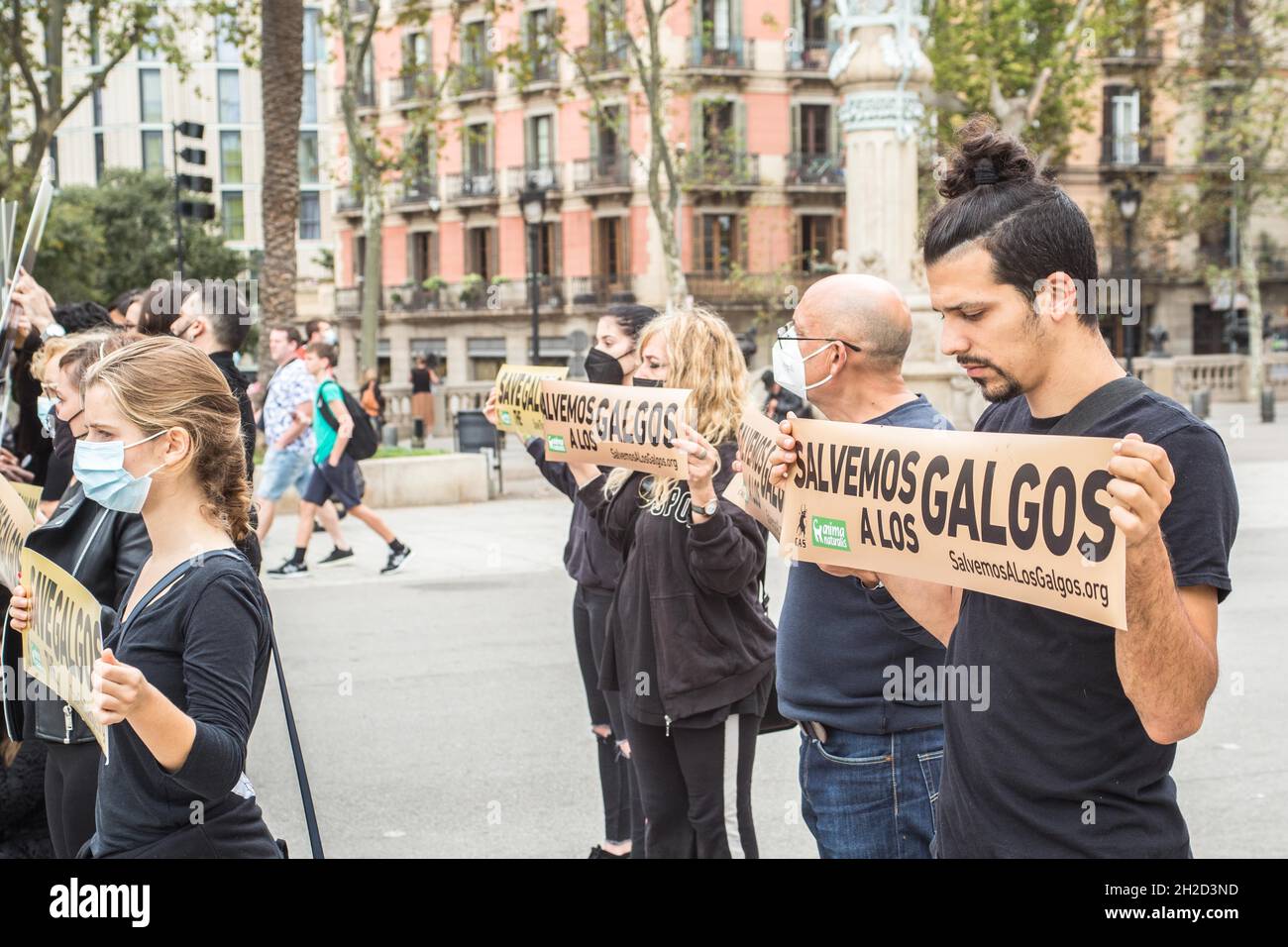 Barcelone, Catalogne, Espagne.21 octobre 2021.Les manifestants sont vus en face de l'Arc de Triomf à Barcelone avec des bannières qui disent, à l'exception des galgos (Grayhounds espagnol).l'organisation internationale sans but lucratif de droits des animaux, AnimaNaturalis a appelé à une manifestation en défense des Grayhounds espagnols, le Galgo,Qui est une race utilisée à la fois pour la chasse et la course dans différentes régions d'Espagne.Certaines estimations estiment qu'en Espagne environ 50,000 lévriers et autres chiens de chasse sont abandonnés (Credit image: © Thiago Prudencio/DAX via ZUMA Press Wire) Banque D'Images