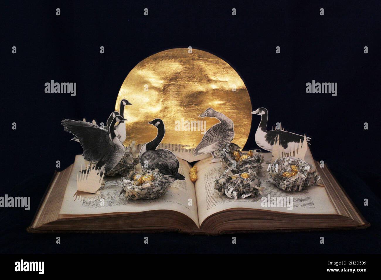 Six oies un livre de paperraft pose diorama de la chanson de Noël.Bernaches de papier et nids avec des œufs d'or et un soleil d'or géant. Banque D'Images