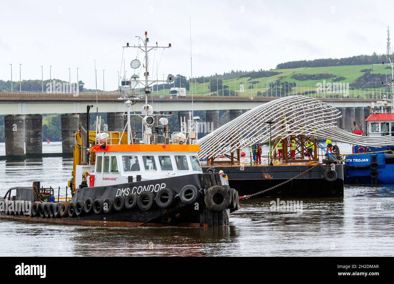 La sculpture de baleine à bosse géant de 1 m £, d'une hauteur de 36 mètres et de 22 tonnes, est arrivée pour être installée à côté du V&A Design Museum à Dundee, en Écosse Banque D'Images