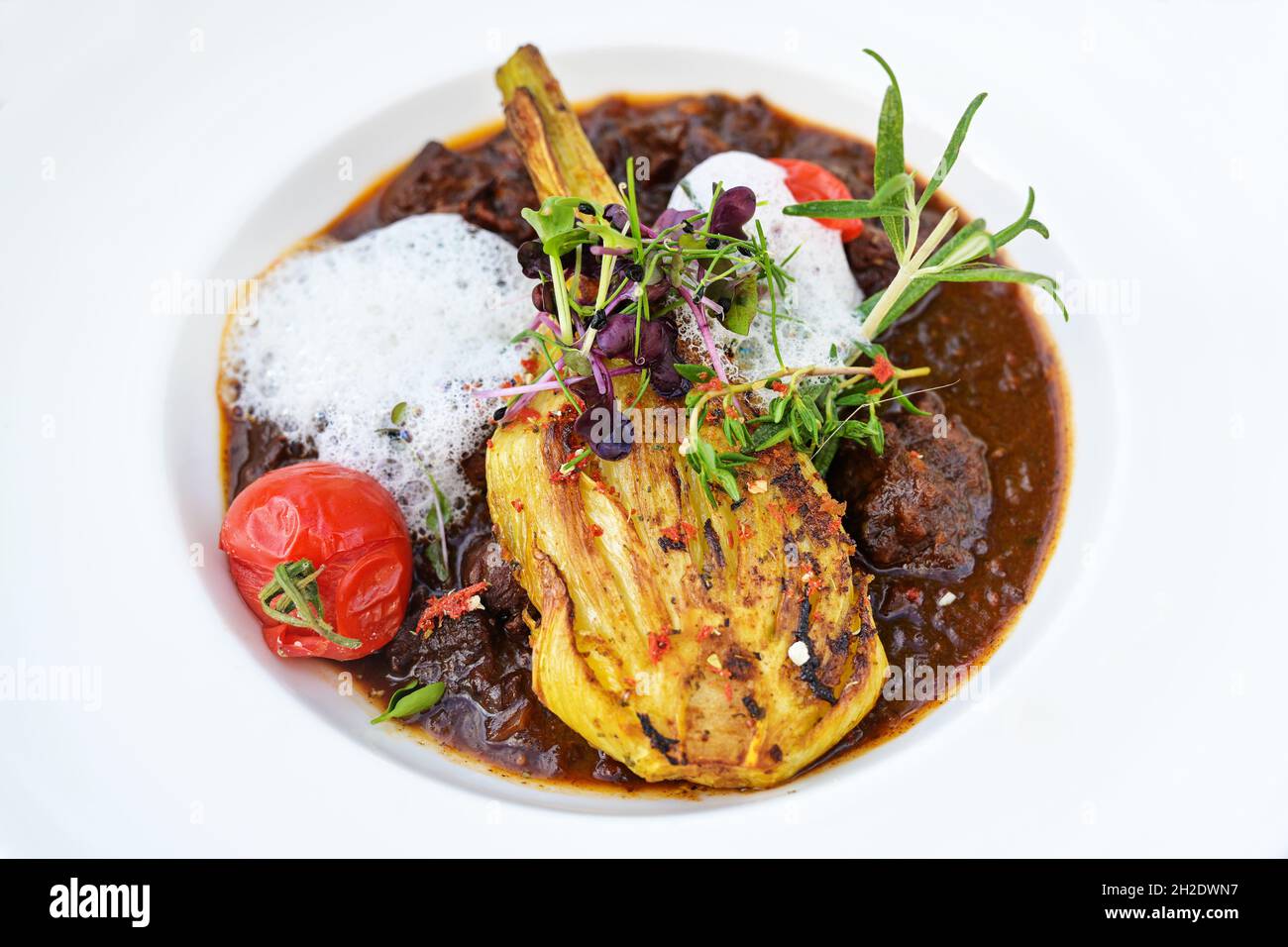 Ragoût de gibier avec légumes de fenouil rôtis, tomates et mousse décorative, garniture de cresson, herbes et pousses, servi dans une assiette blanche profonde, espace de copie, Banque D'Images