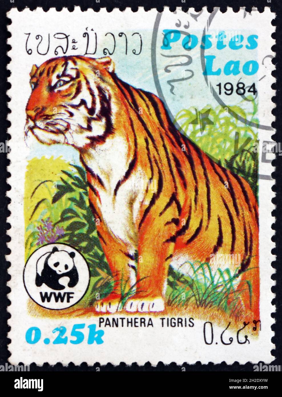 LAOS - VERS 1984: Un timbre imprimé au Laos montre le tigre, panthera tigris, est la plus grande espèce de chat, vers 1984 Banque D'Images