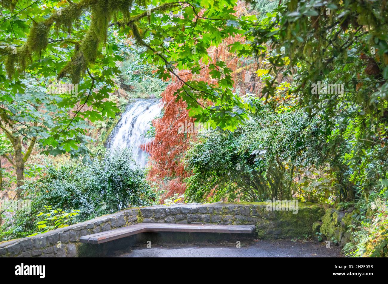 Un banc calme surplombant les magnifiques et puissantes chutes de Multnomah entouré d'arbres mousseux et de feuillage d'automne. Banque D'Images