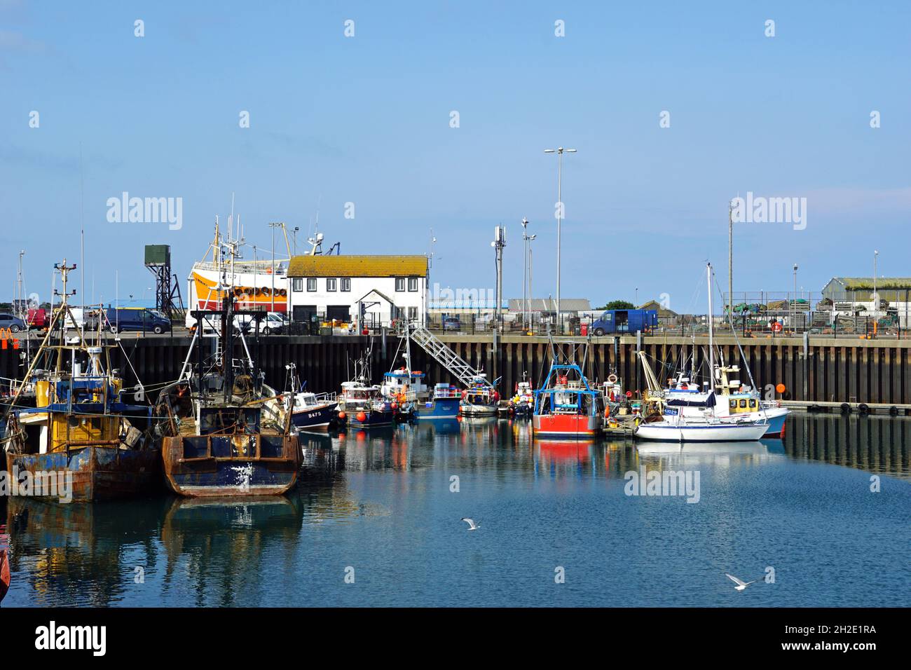 Petit port dans le village de pêcheurs de Portavogie dans le comté en bas, Irlande du Nord 31.07.2019 Banque D'Images