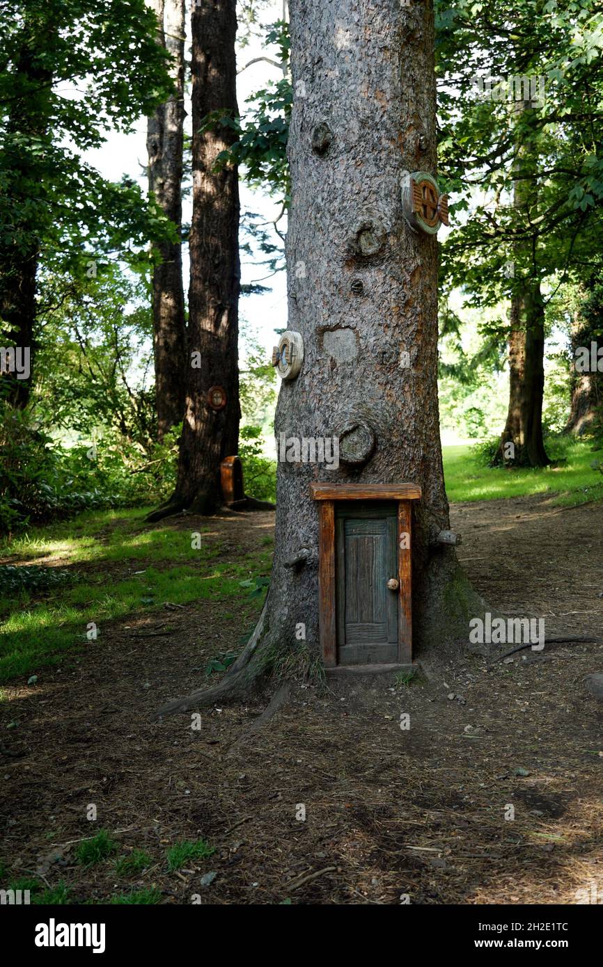 Petite porte de conte de fées en bois dans un tronc d'arbre dans la forêt magique Banque D'Images